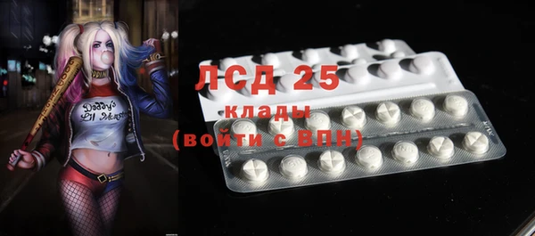 твердый Алзамай