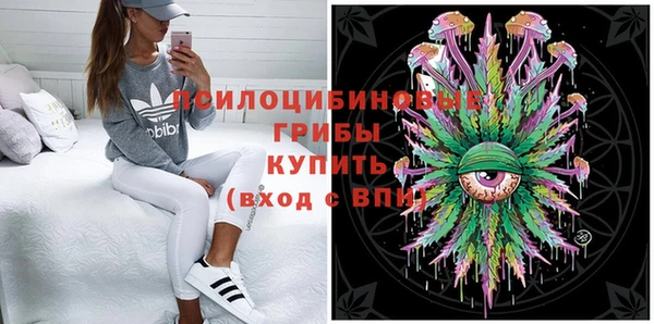 spice Алексеевка