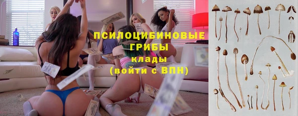 spice Алексеевка