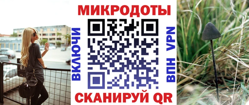 Псилоцибиновые грибы Psilocybe Рошаль